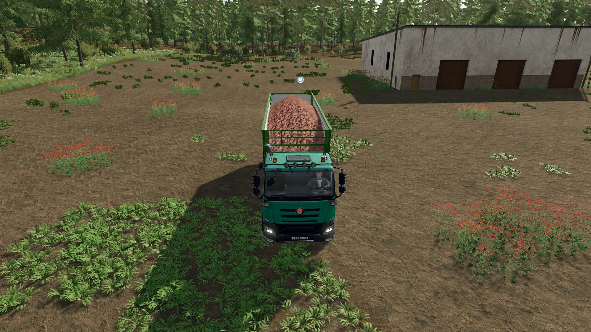Tatra Phoenix 8x8 2