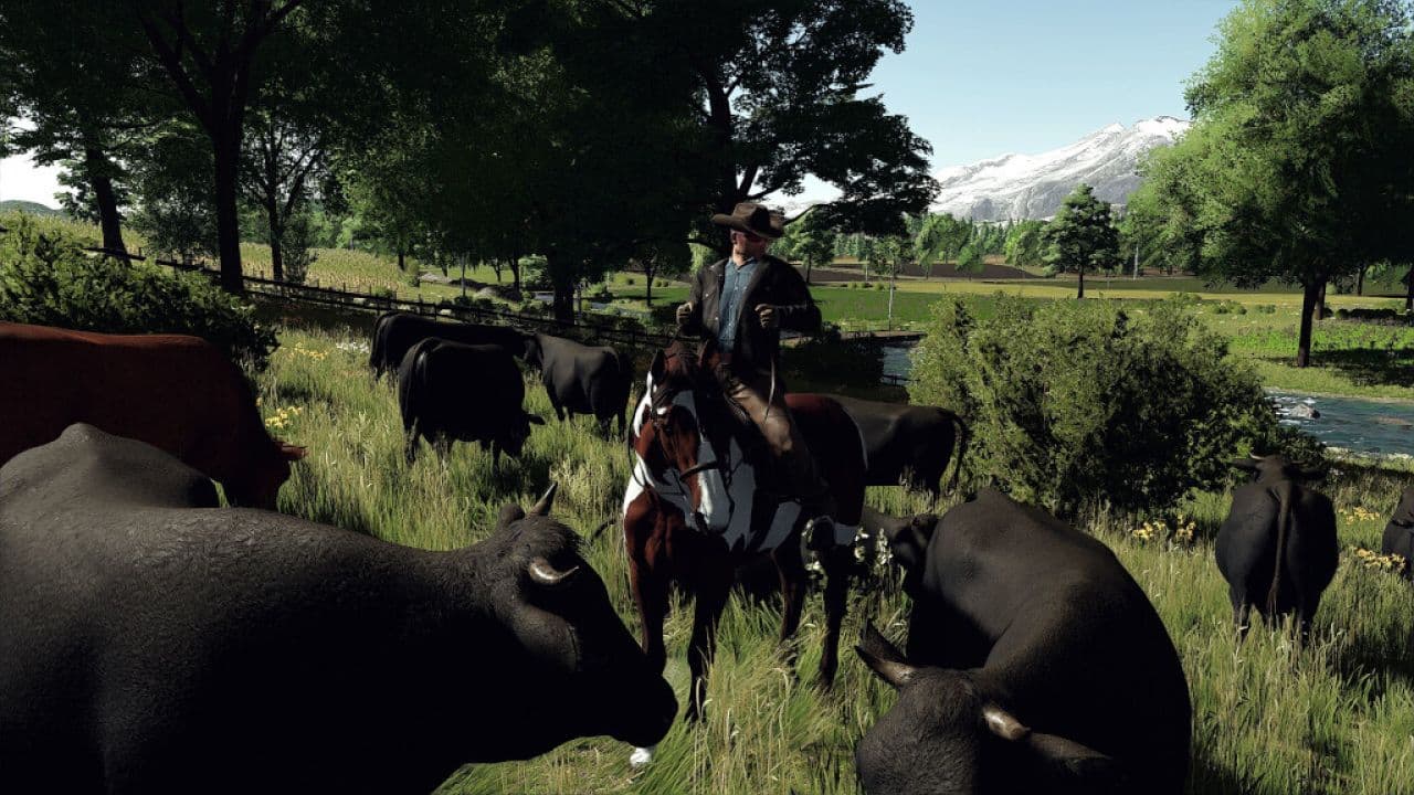 The Ranch, Colorado Crossplay 6