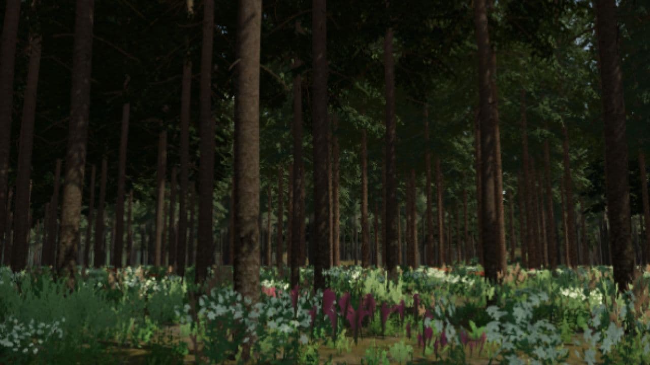 Thick Forest 2
