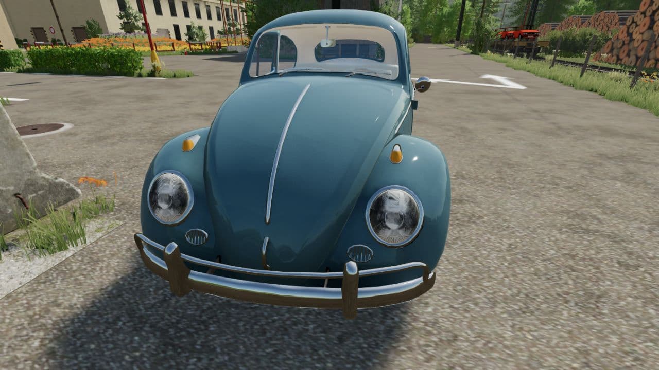 Volkswagen Bug 4