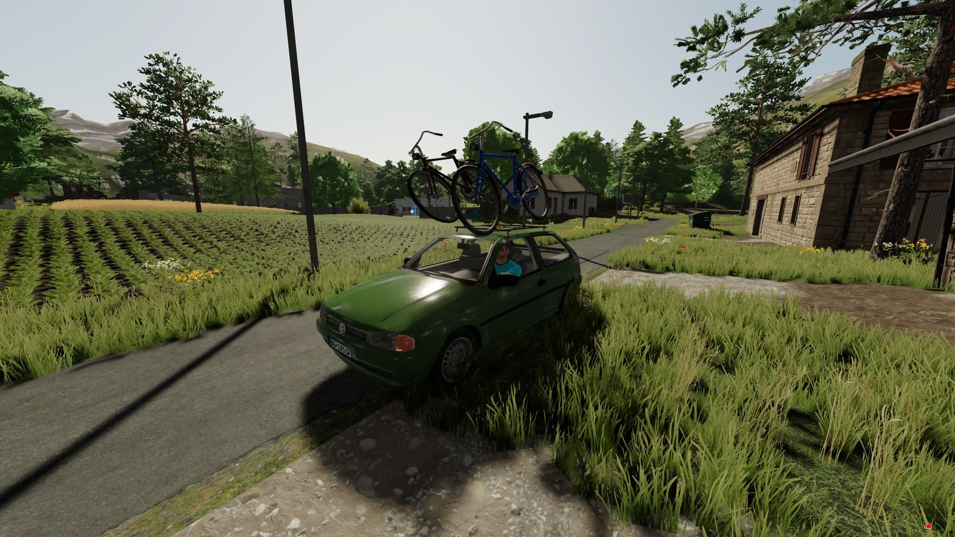 Volkswagen Golf IV 3