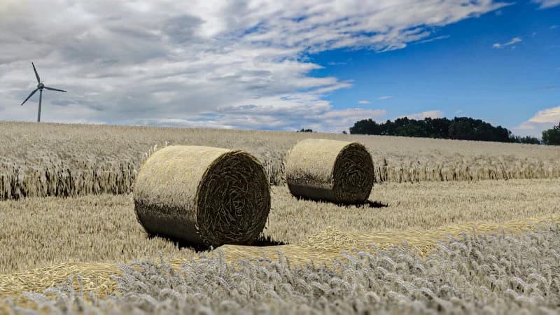 WHEAT - BALES - STRAW