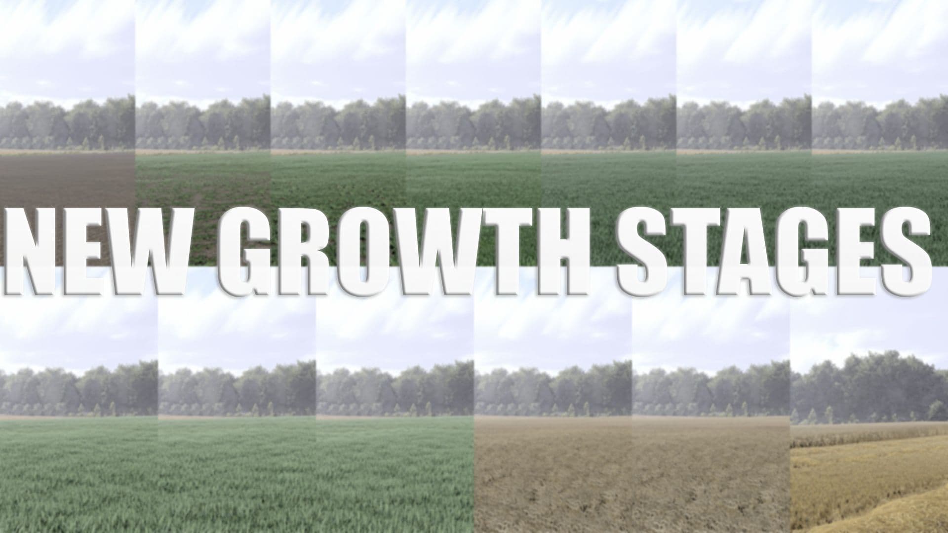 Wheat: new growth stages (Prefab)