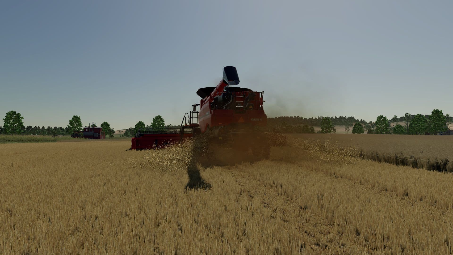 Realistic wheat texture