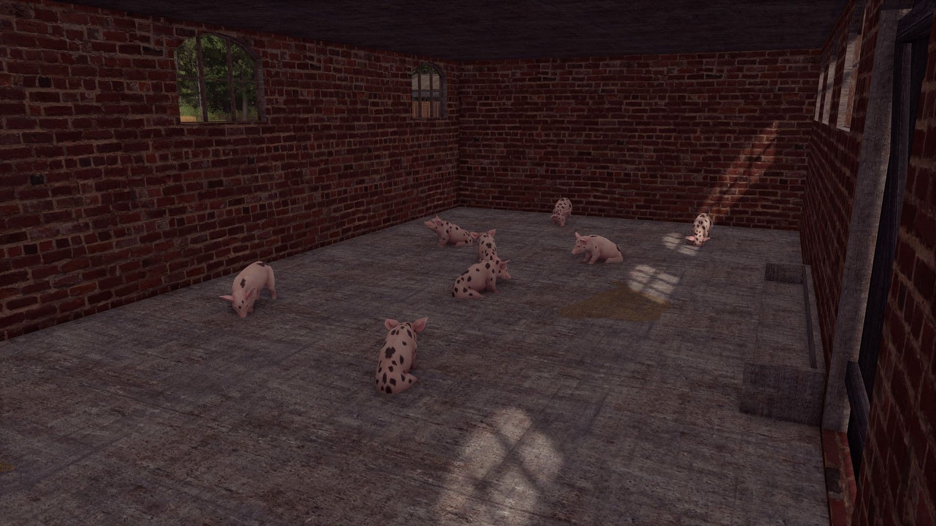 Building with a pigsty 4