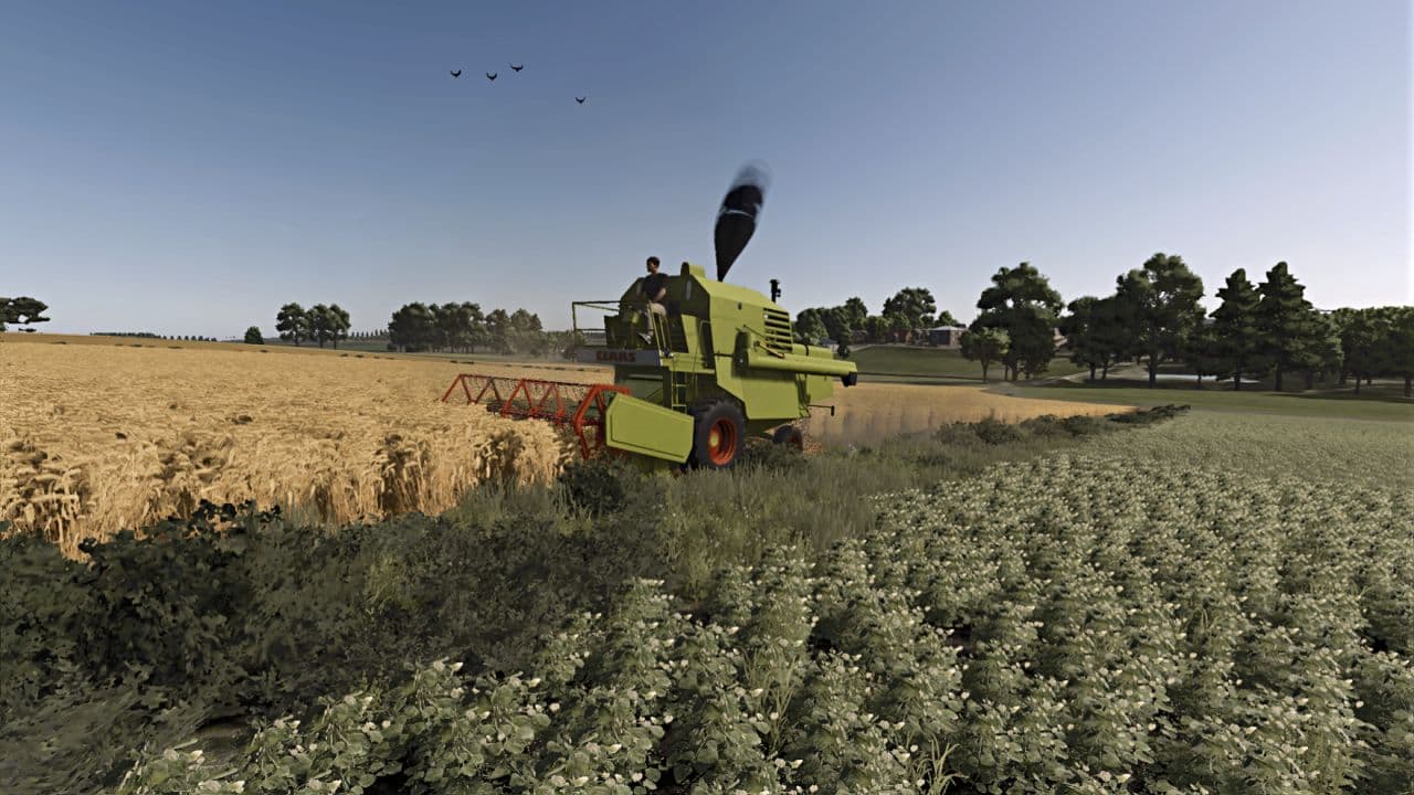 Claas Mercator Series Sound (Prefab) 3