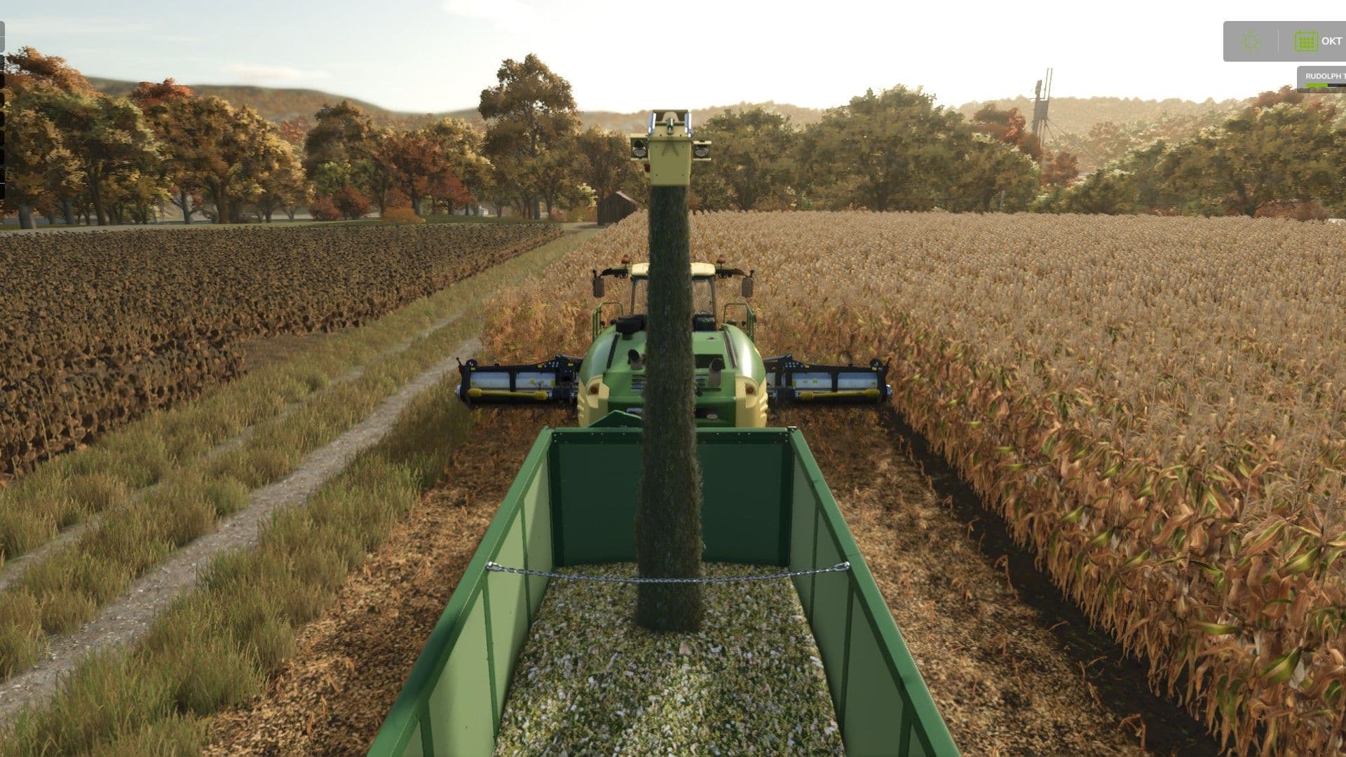 Corn cob silage 6