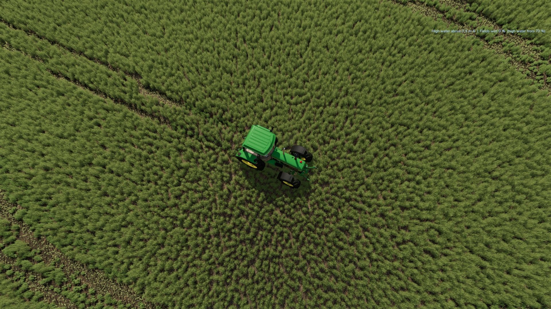 Grass Tracks
