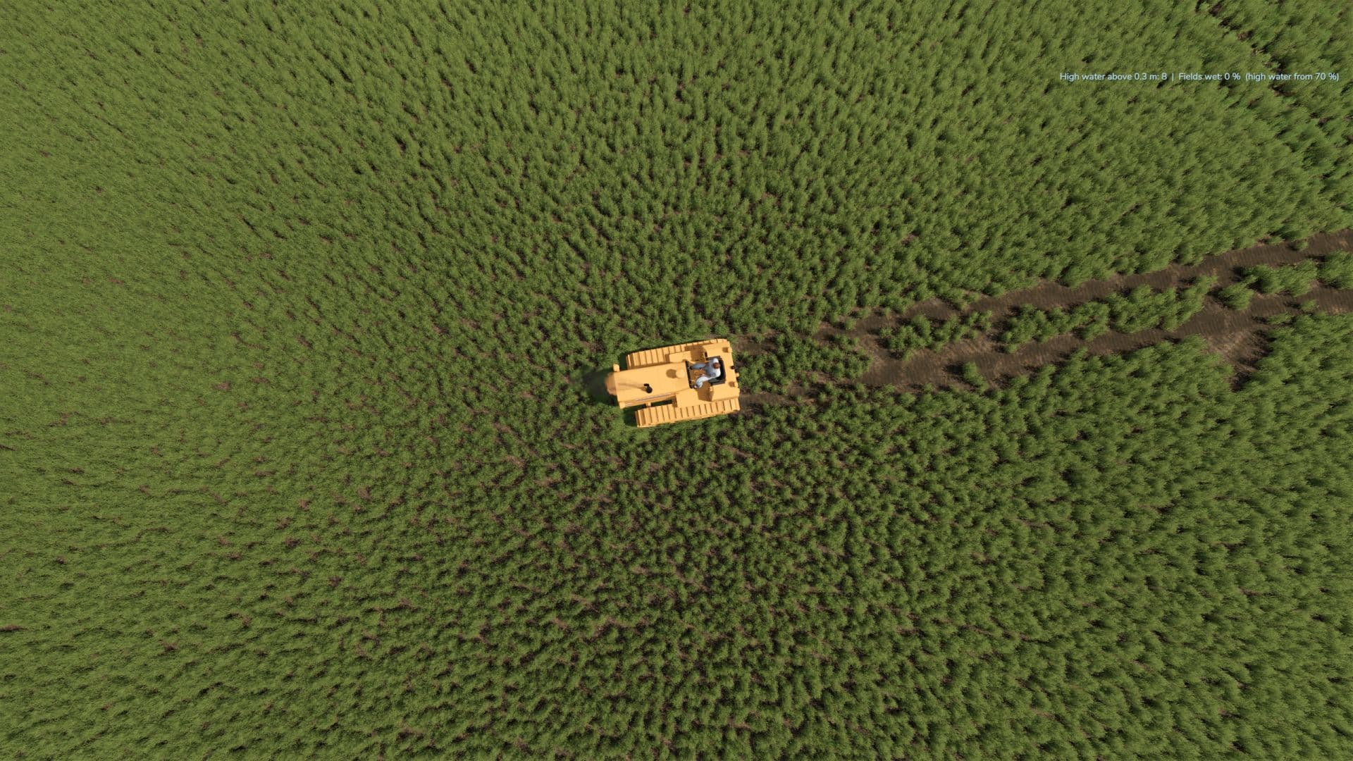 Grass Tracks 6