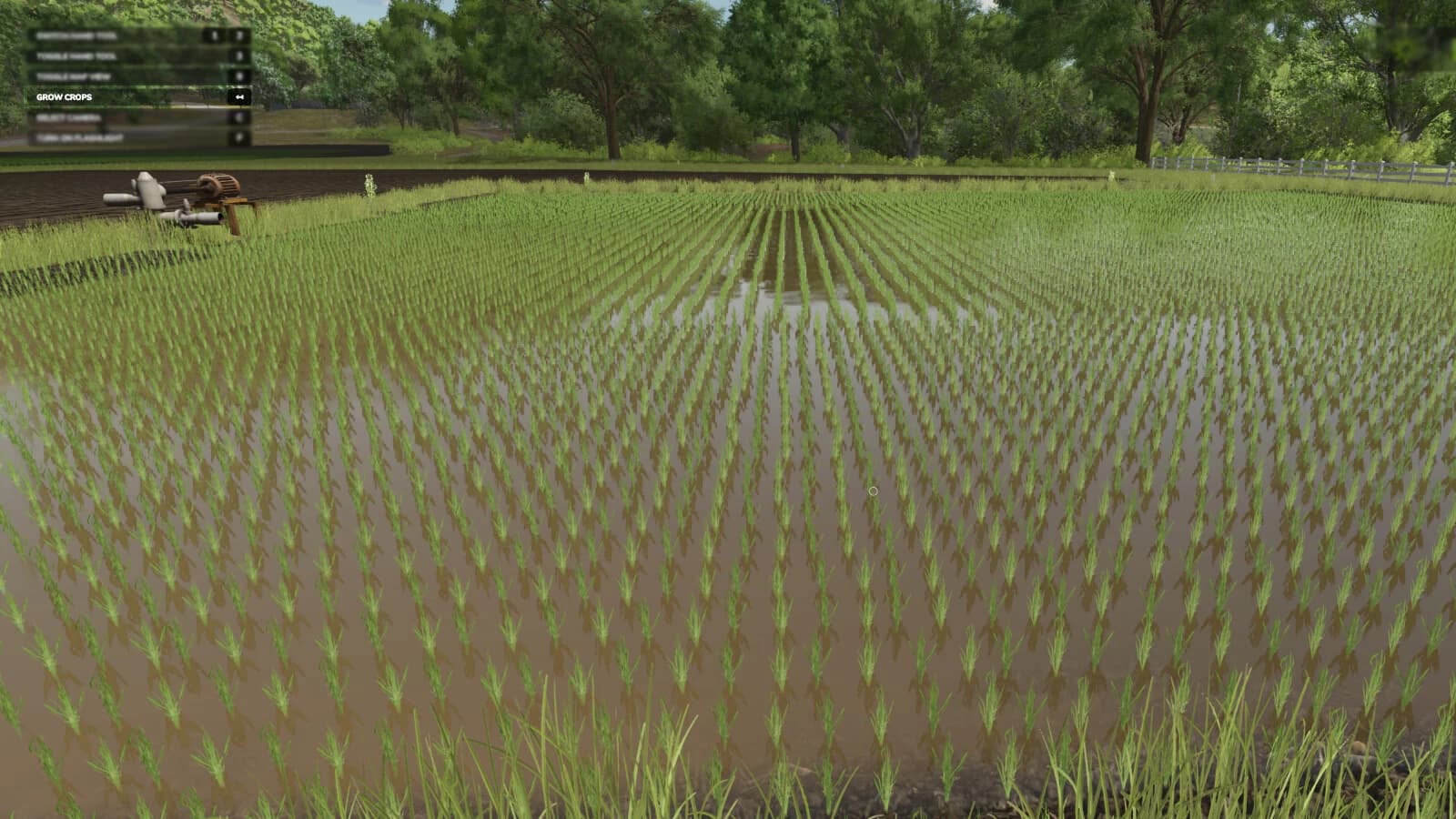 Grow Now 3