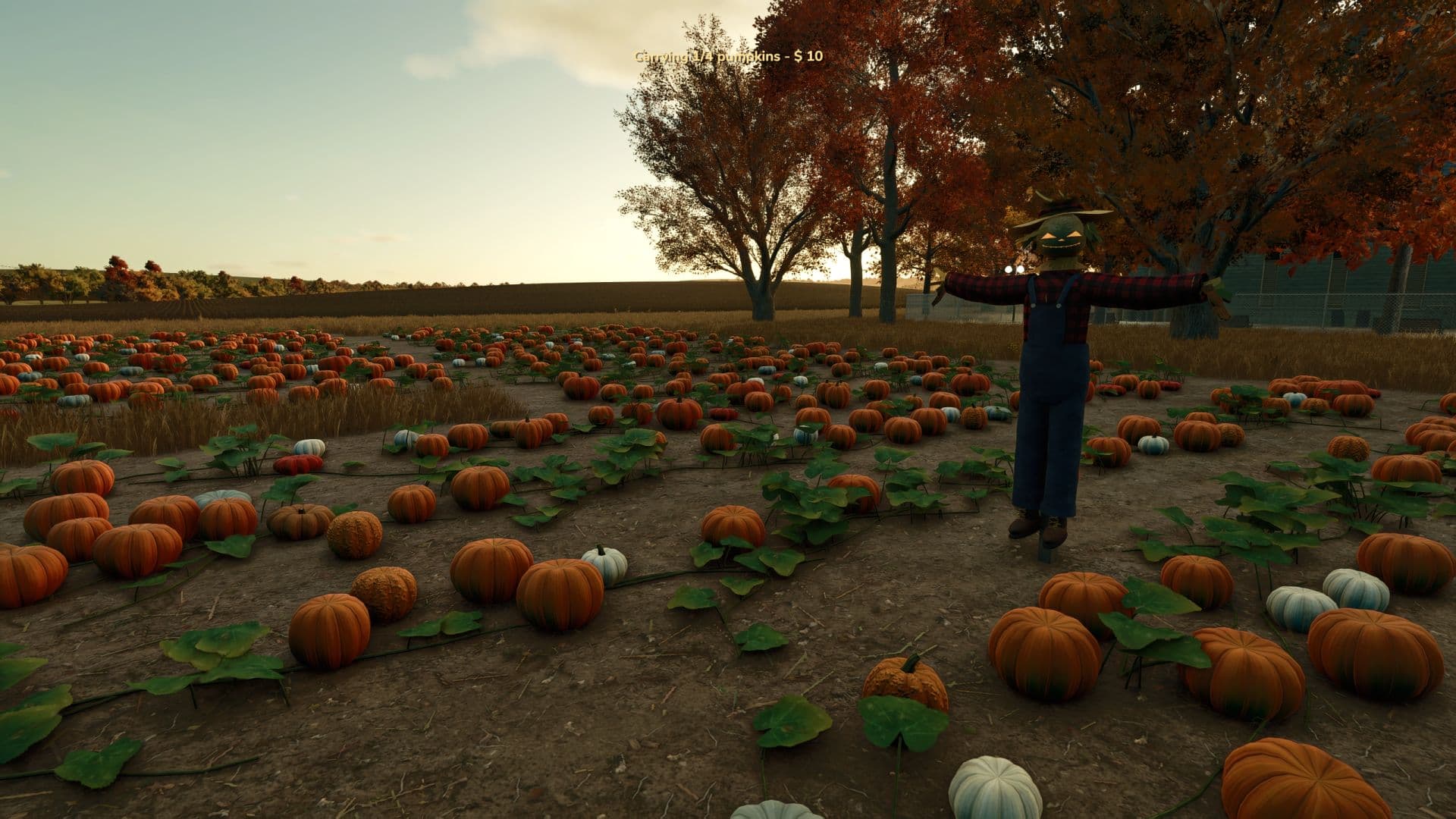 Interactive Pumpkin Patch 5