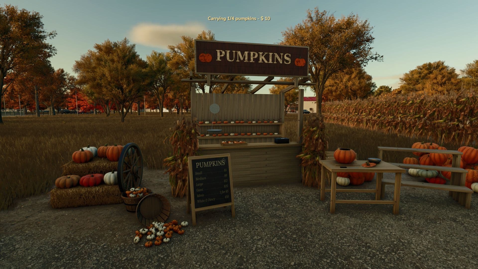 Interactive Pumpkin Patch 4