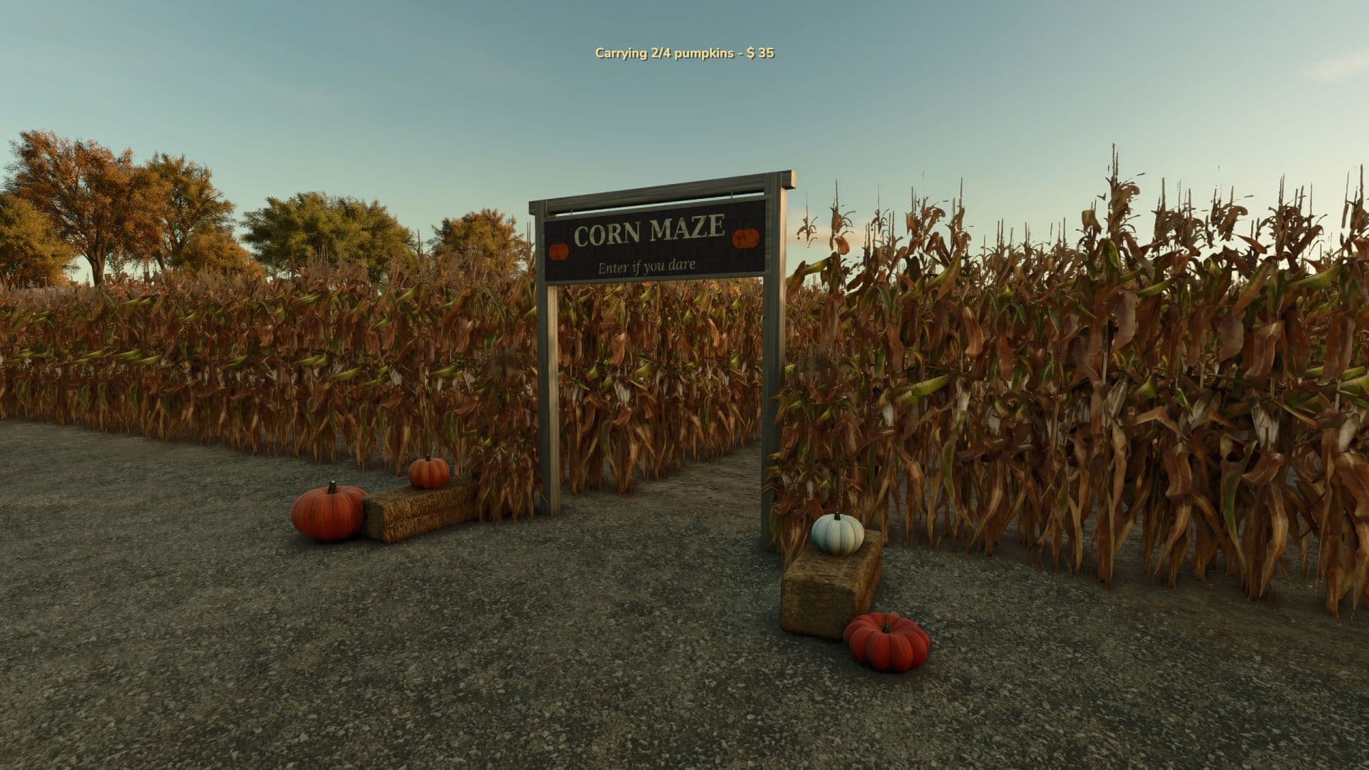 Interactive Pumpkin Patch 2