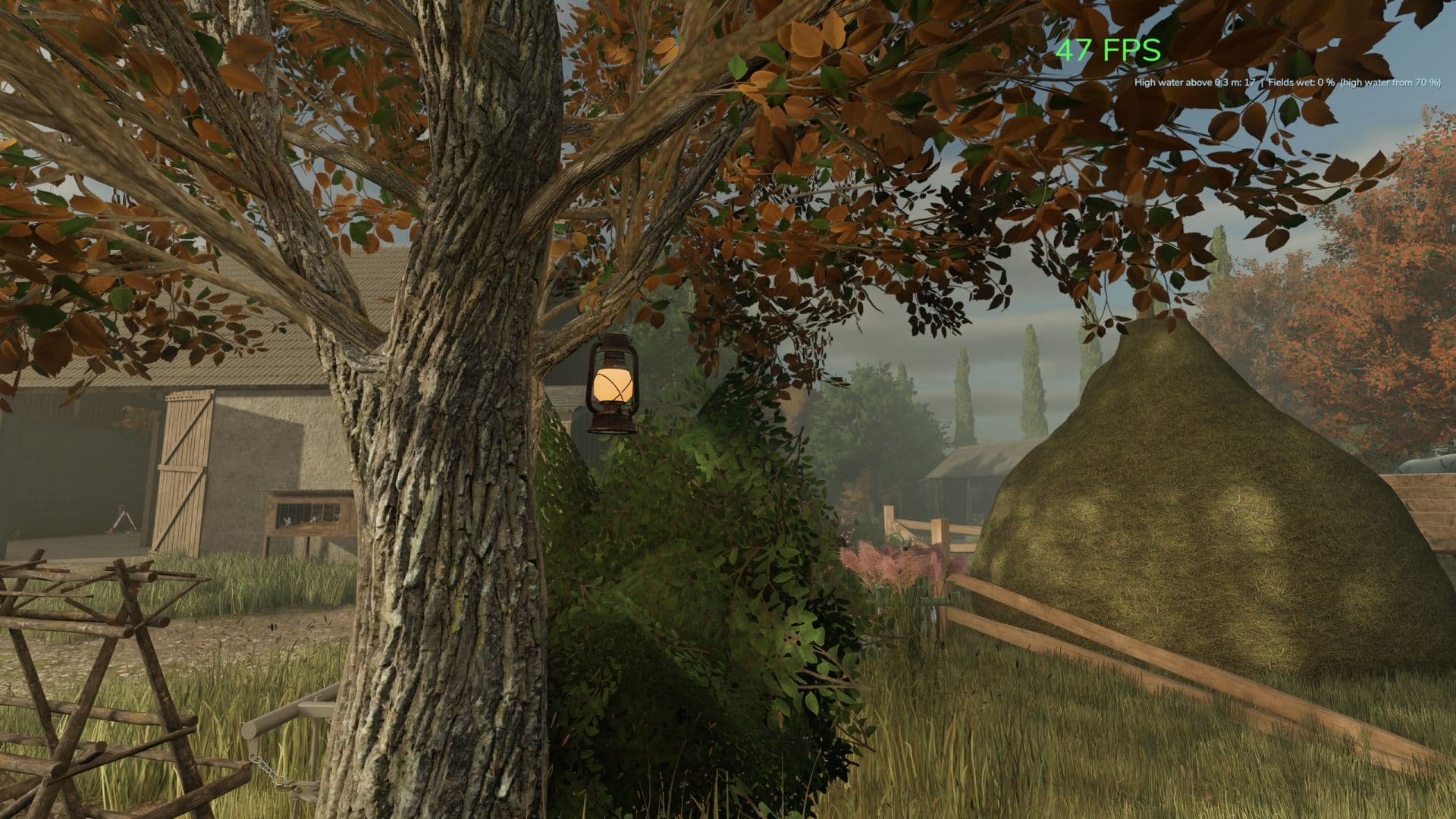 Lantern 5