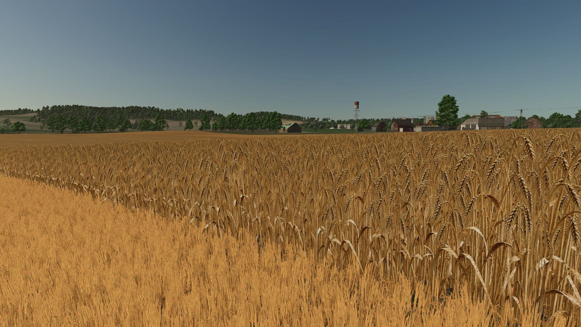 Realistic barley texture 5