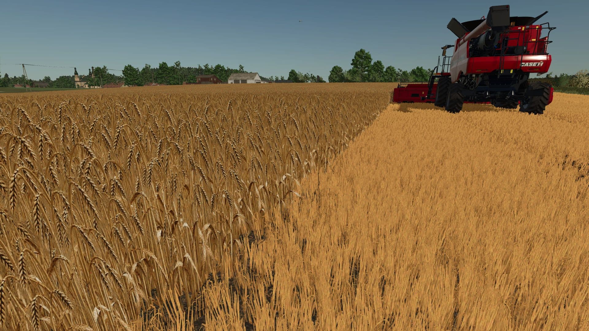 Realistic barley texture 2