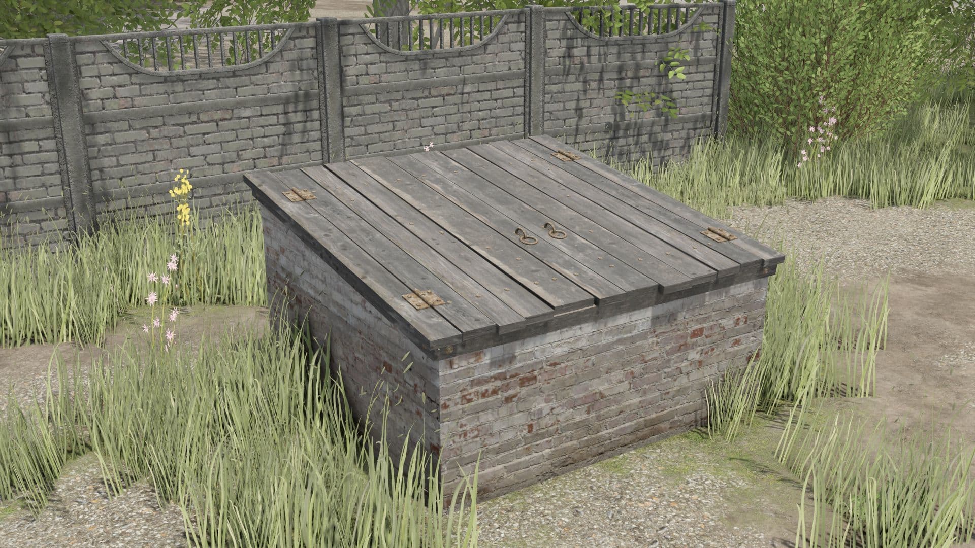 Small Basement For Collections 6