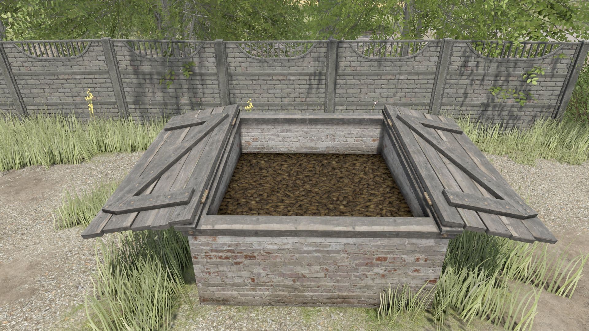 Small Basement For Collections 5