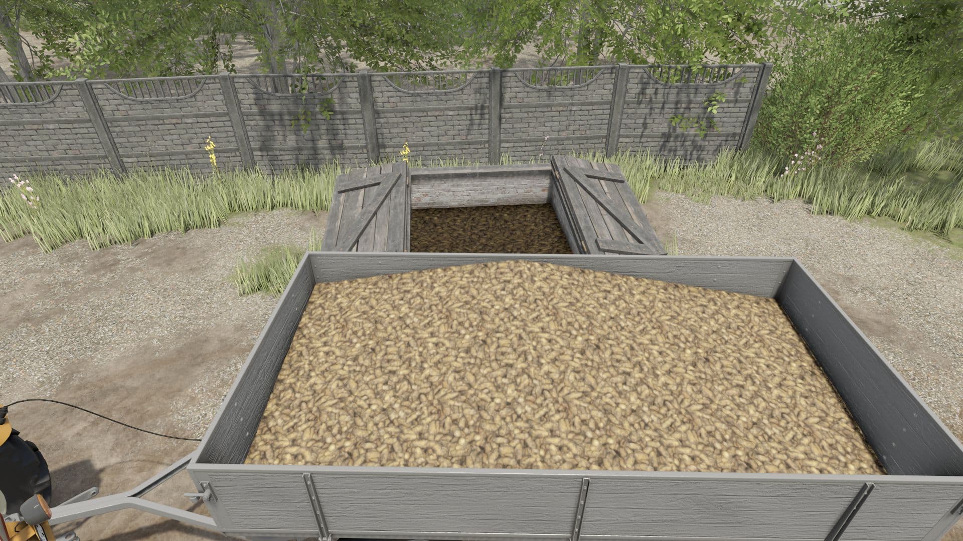 Small Basement For Collections 3