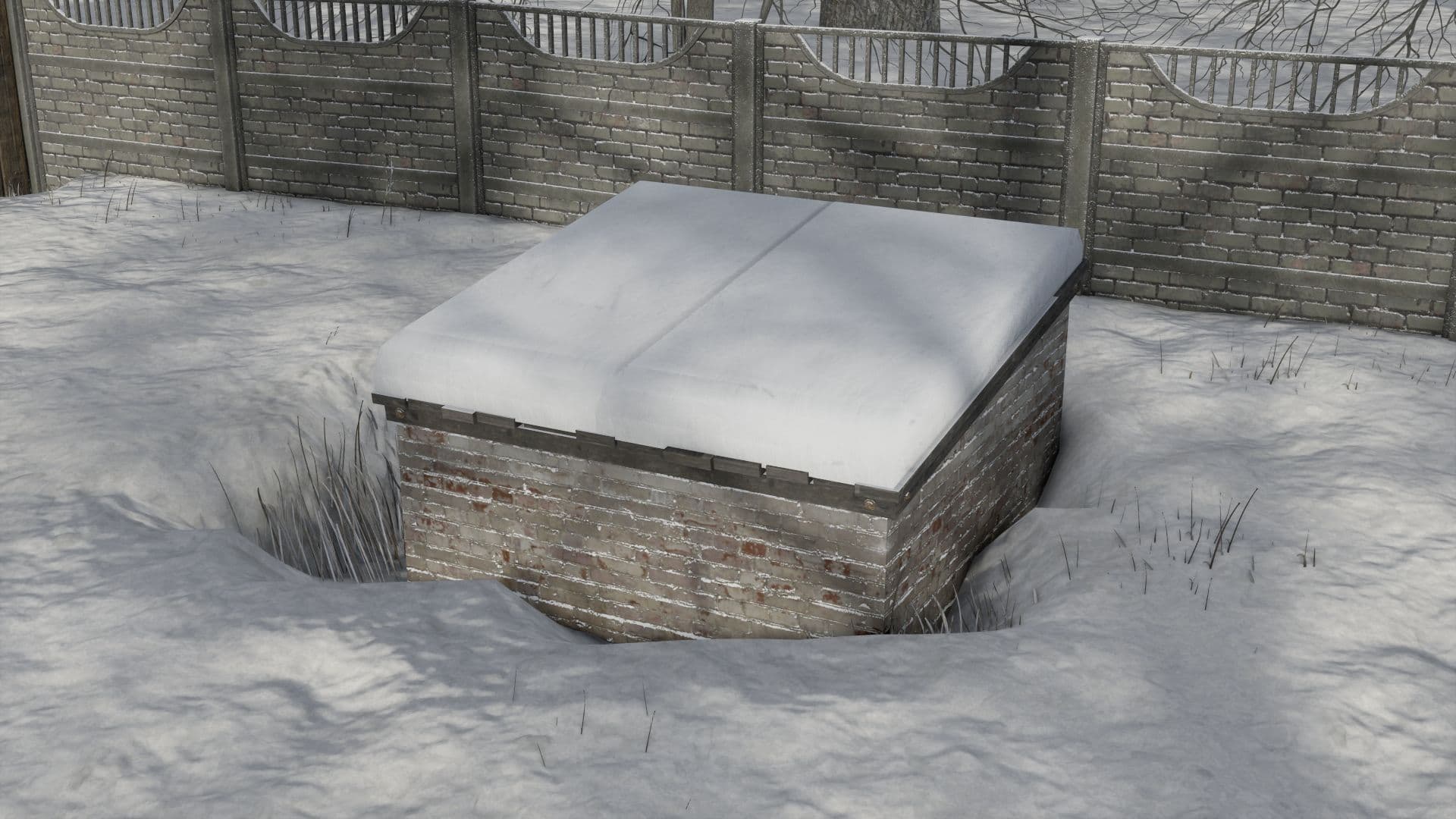 Small Basement For Collections 2
