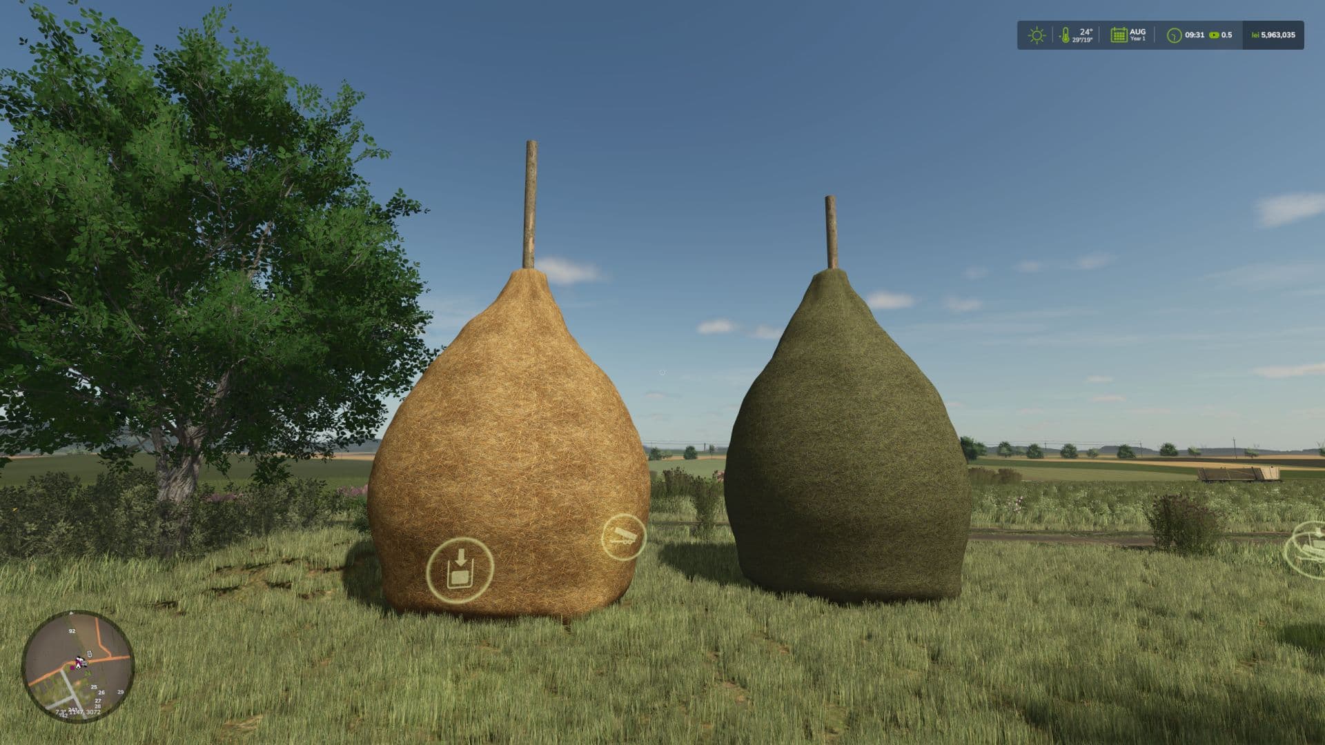 Traditional Romanian Haystack 6