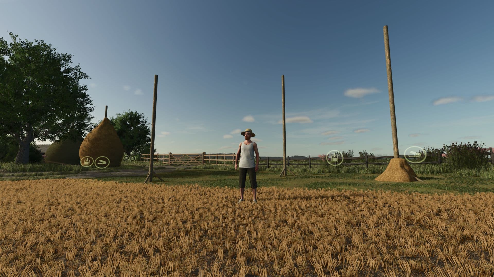 Traditional Romanian Haystack 5