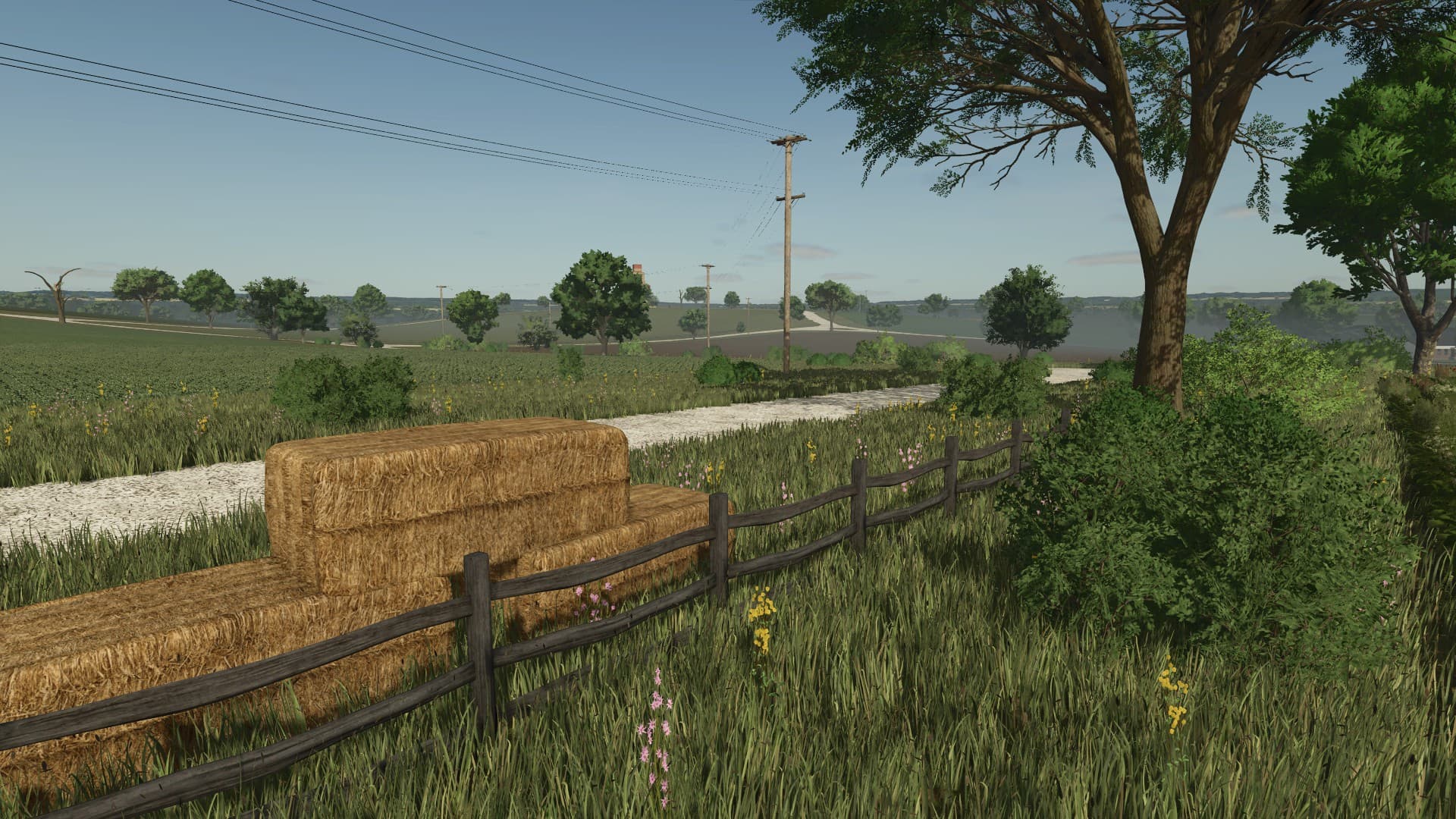 Wild Valley 4