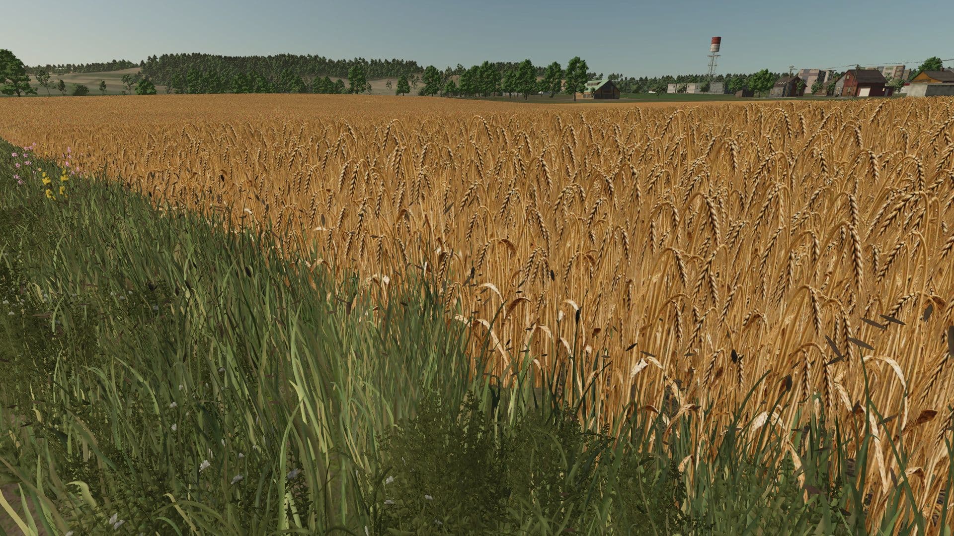 Realistic barley texture 4