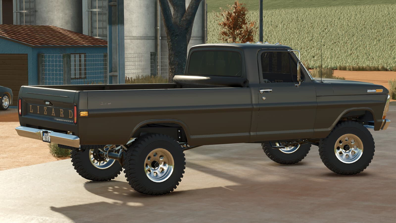 Lizard F100 V8 1975 5