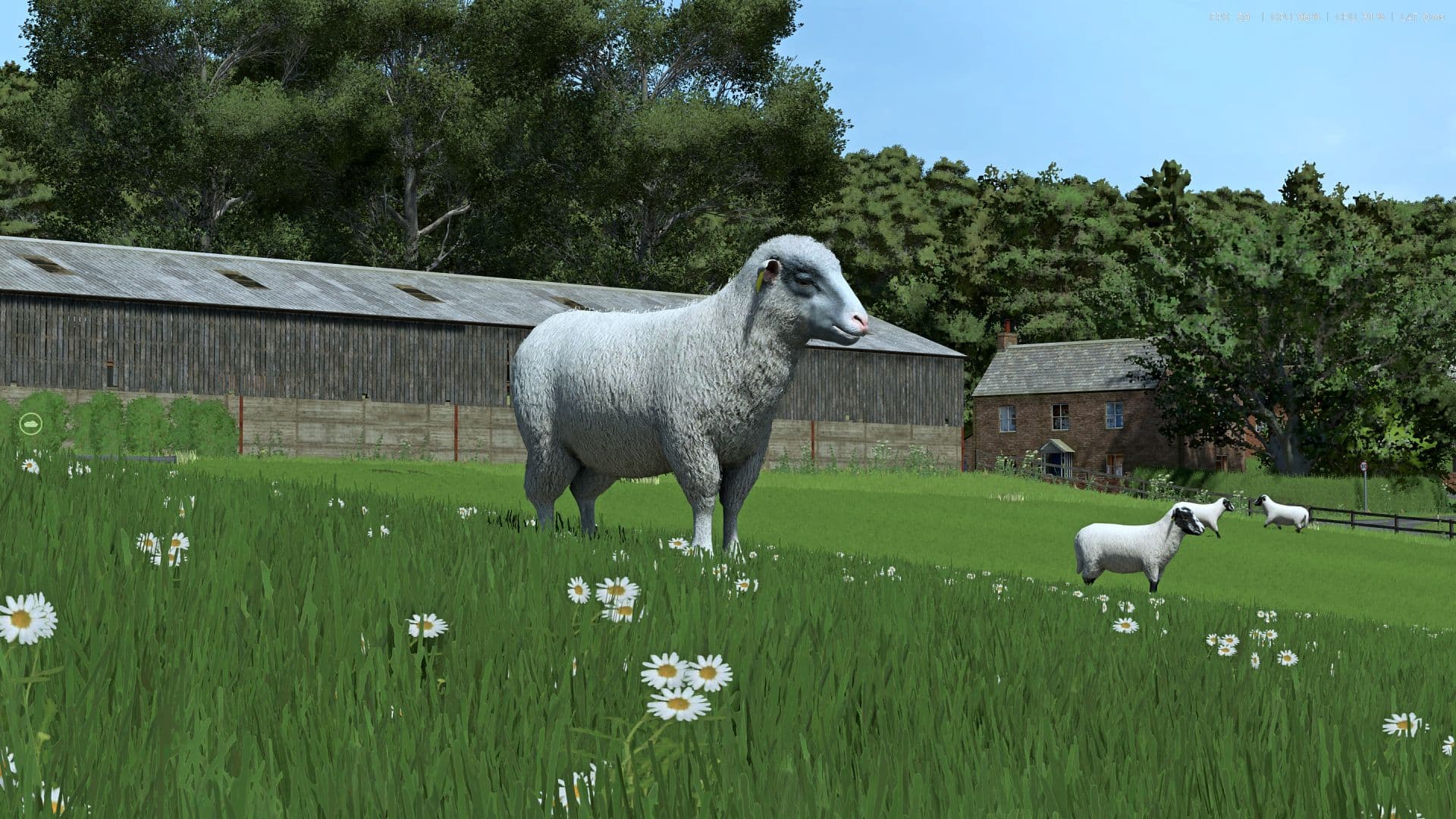 Sheep Breeds for RLRM
