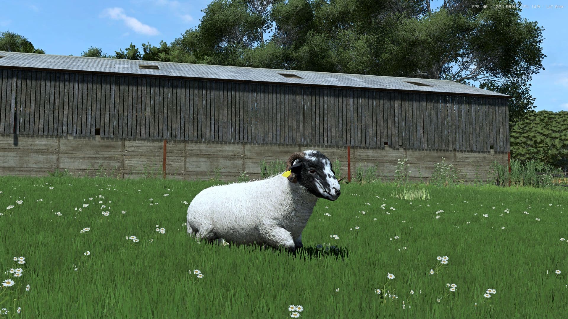 Sheep Breeds for RLRM 2