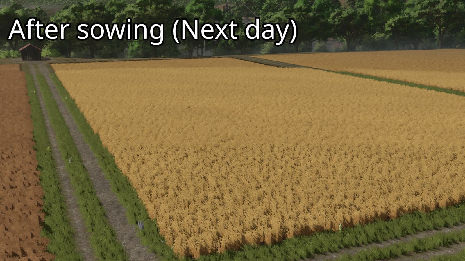 24 Hour Crop Growth 2