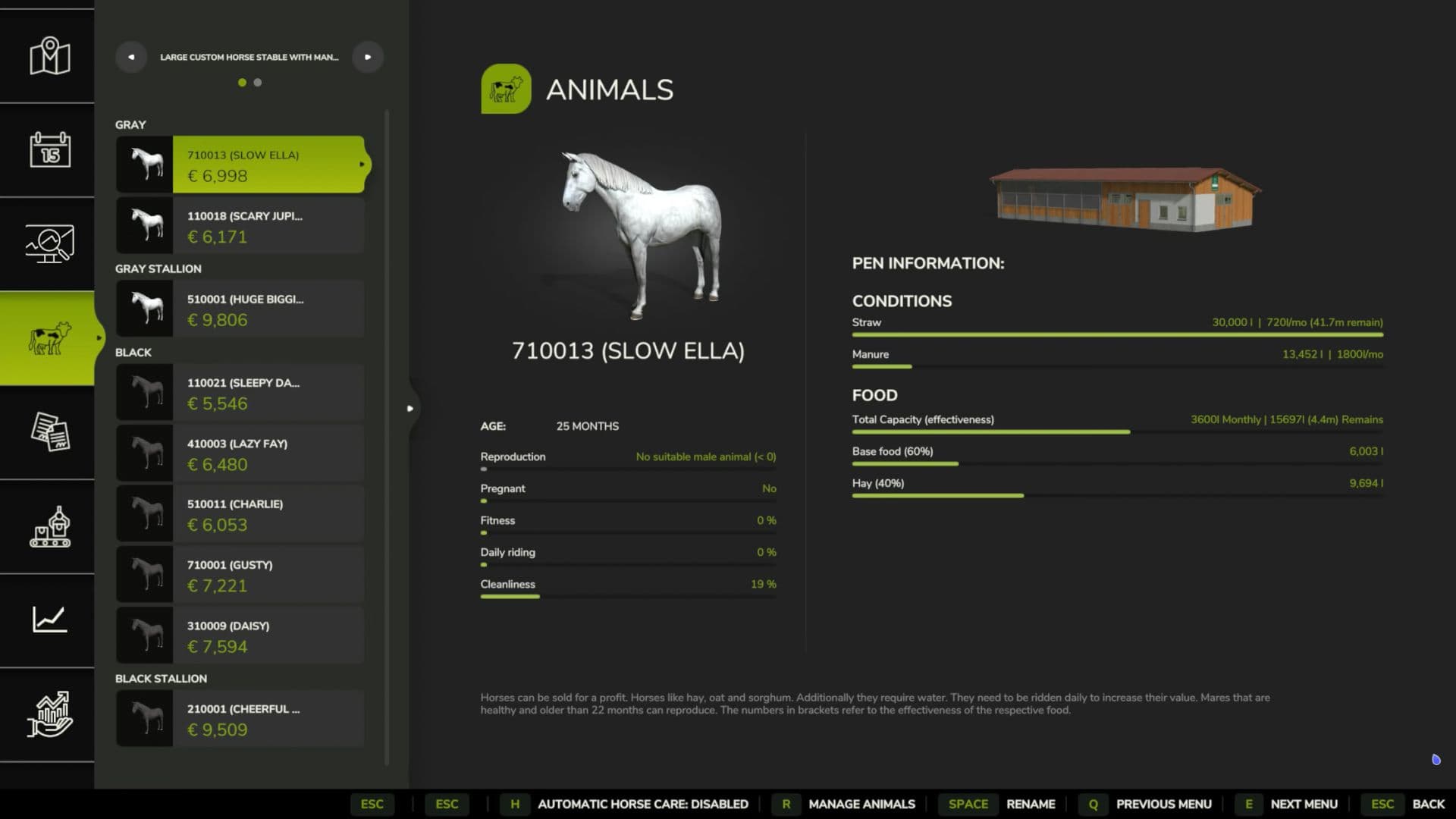 Automatic Horse Care