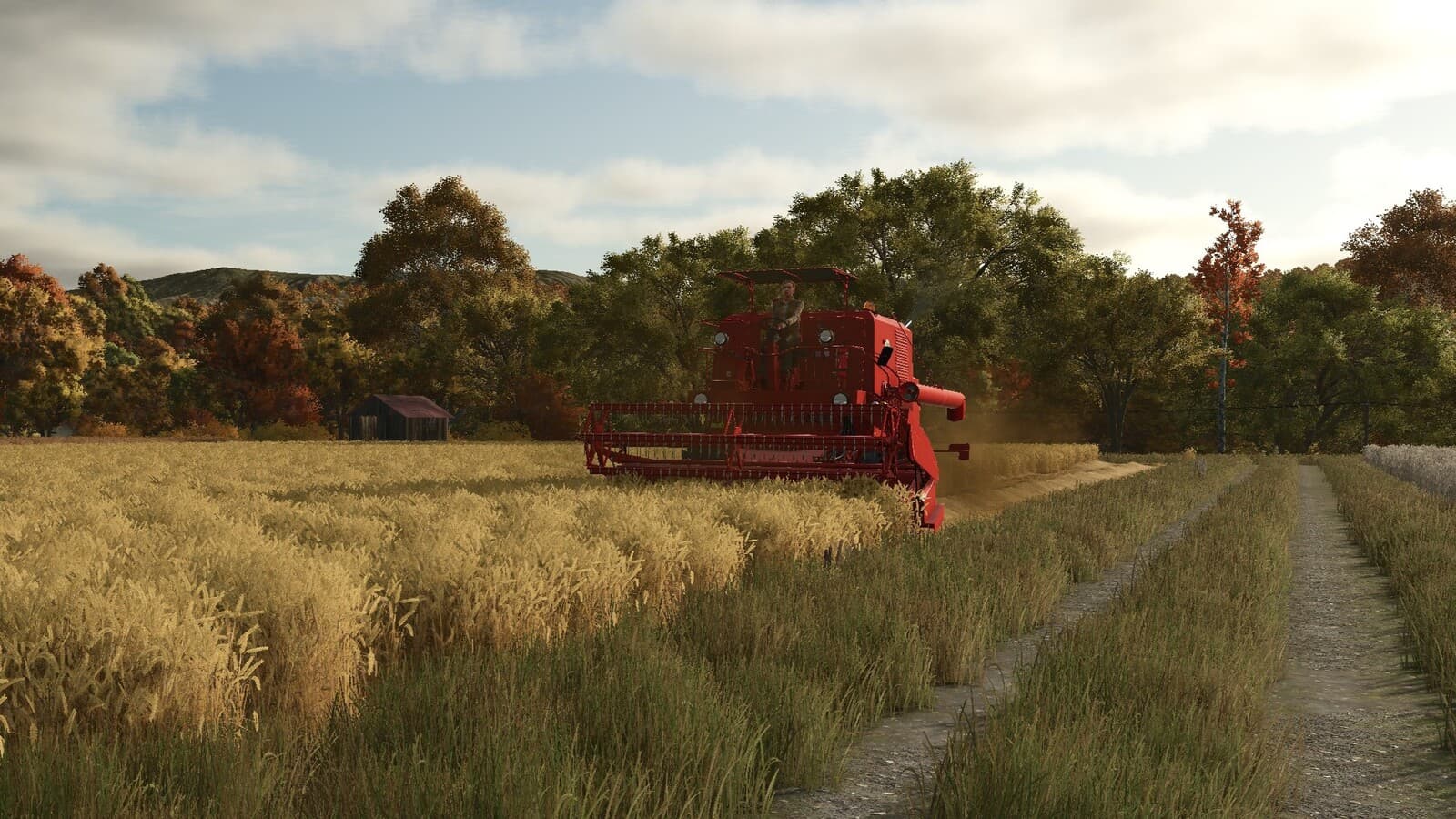 BIZON SUPER Z056 3