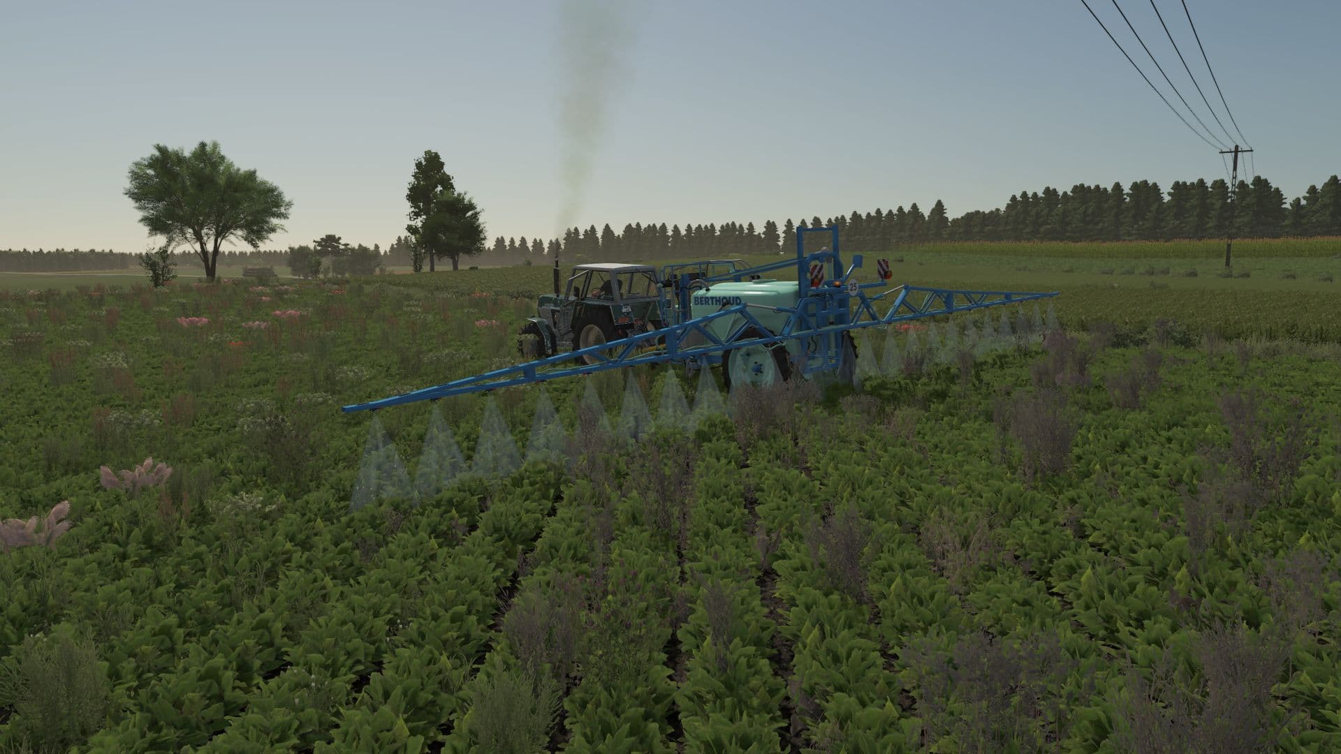Berthoud Major 3