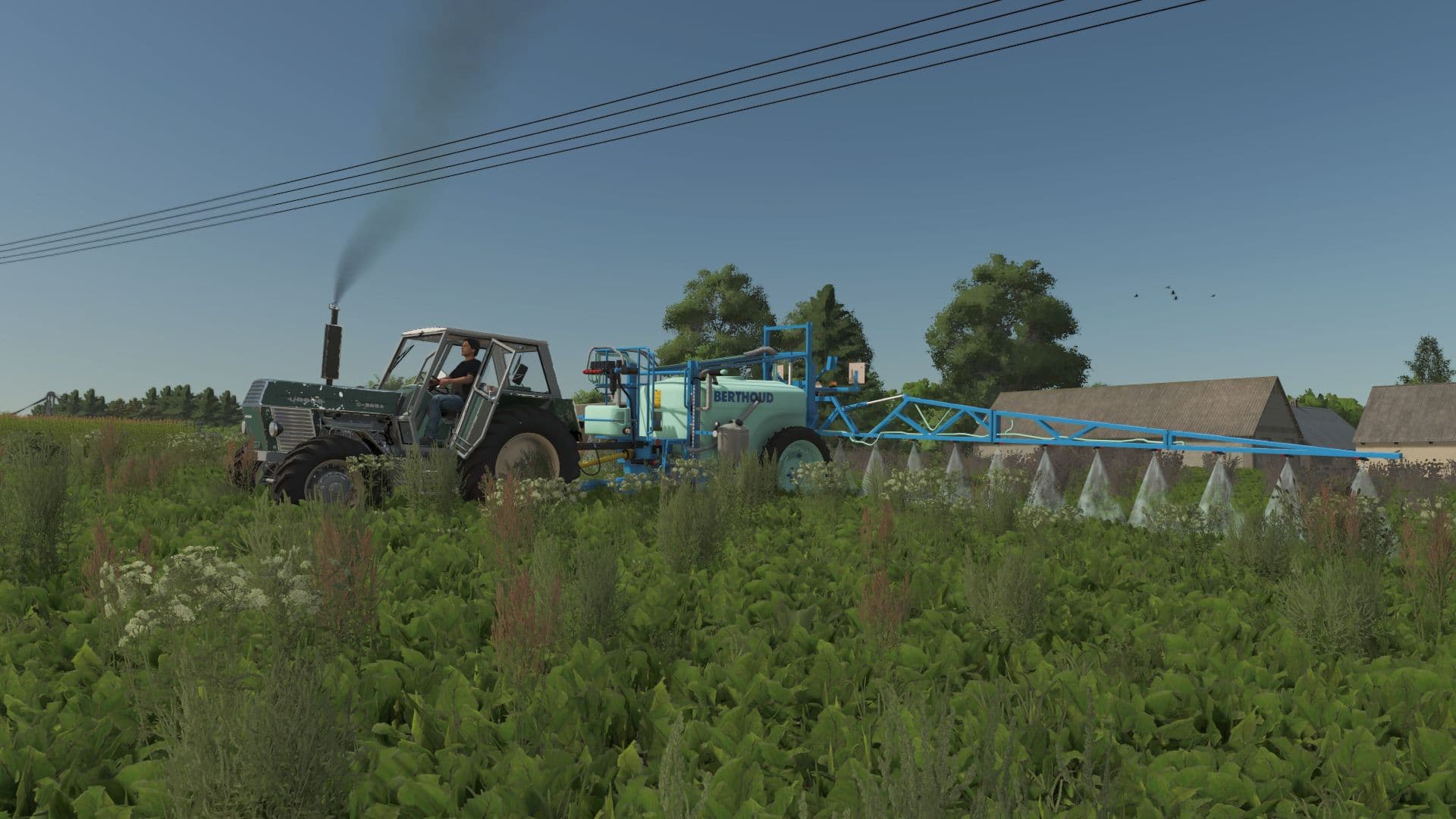 Berthoud Major 2