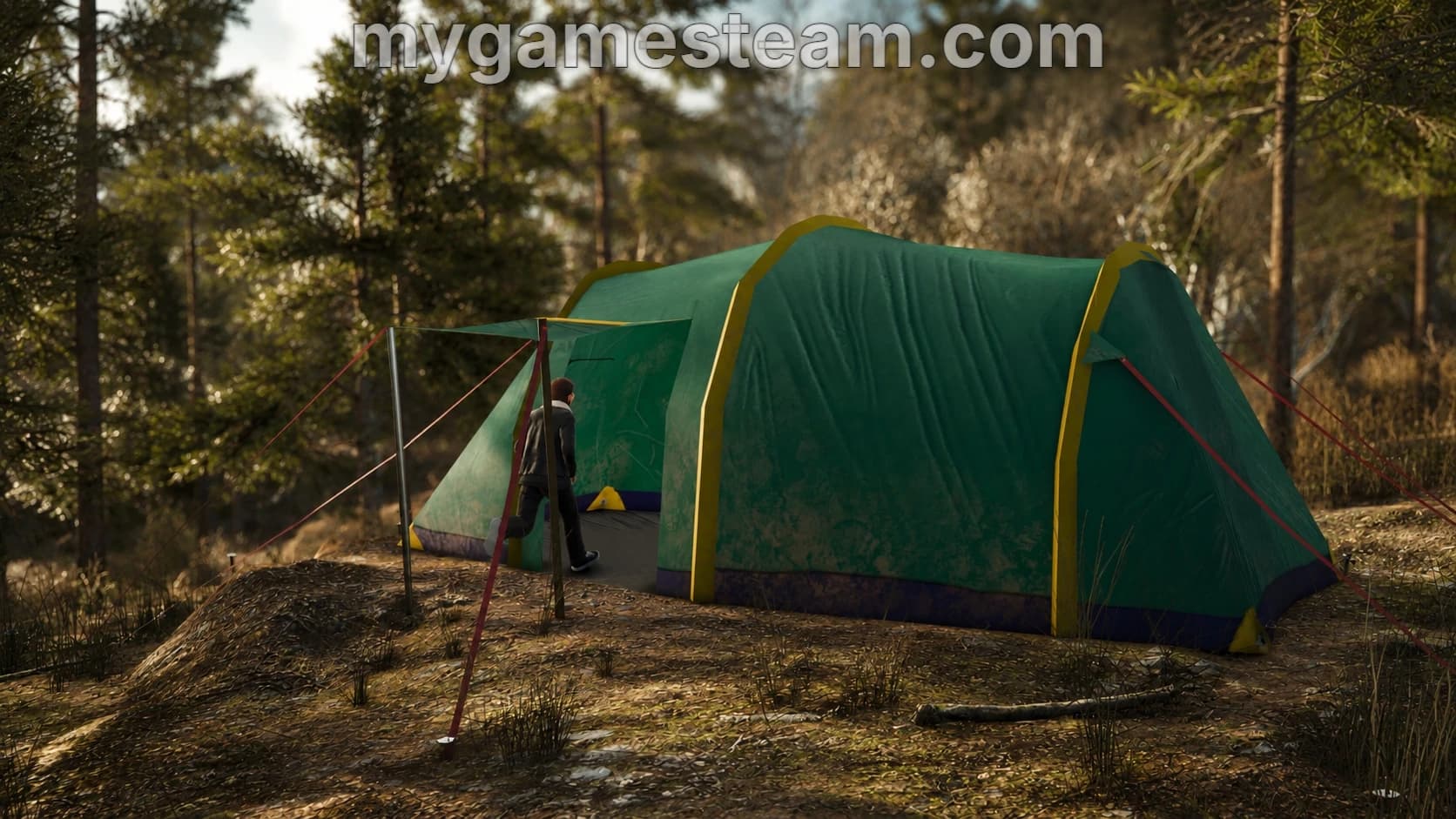 Camping Tent