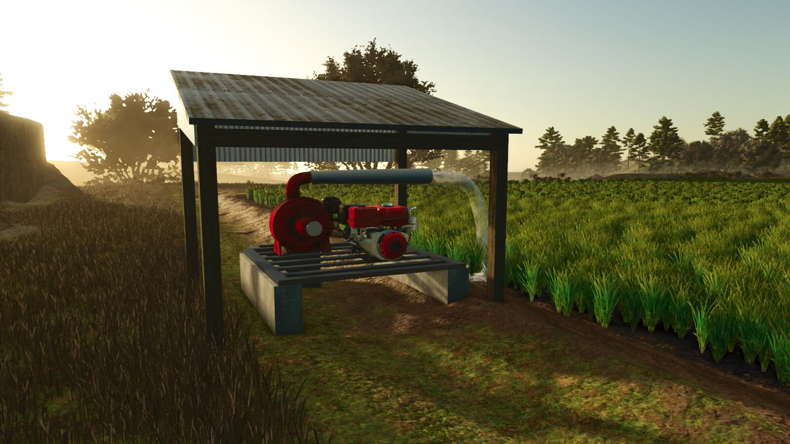 Custom Rice Fields BR 6