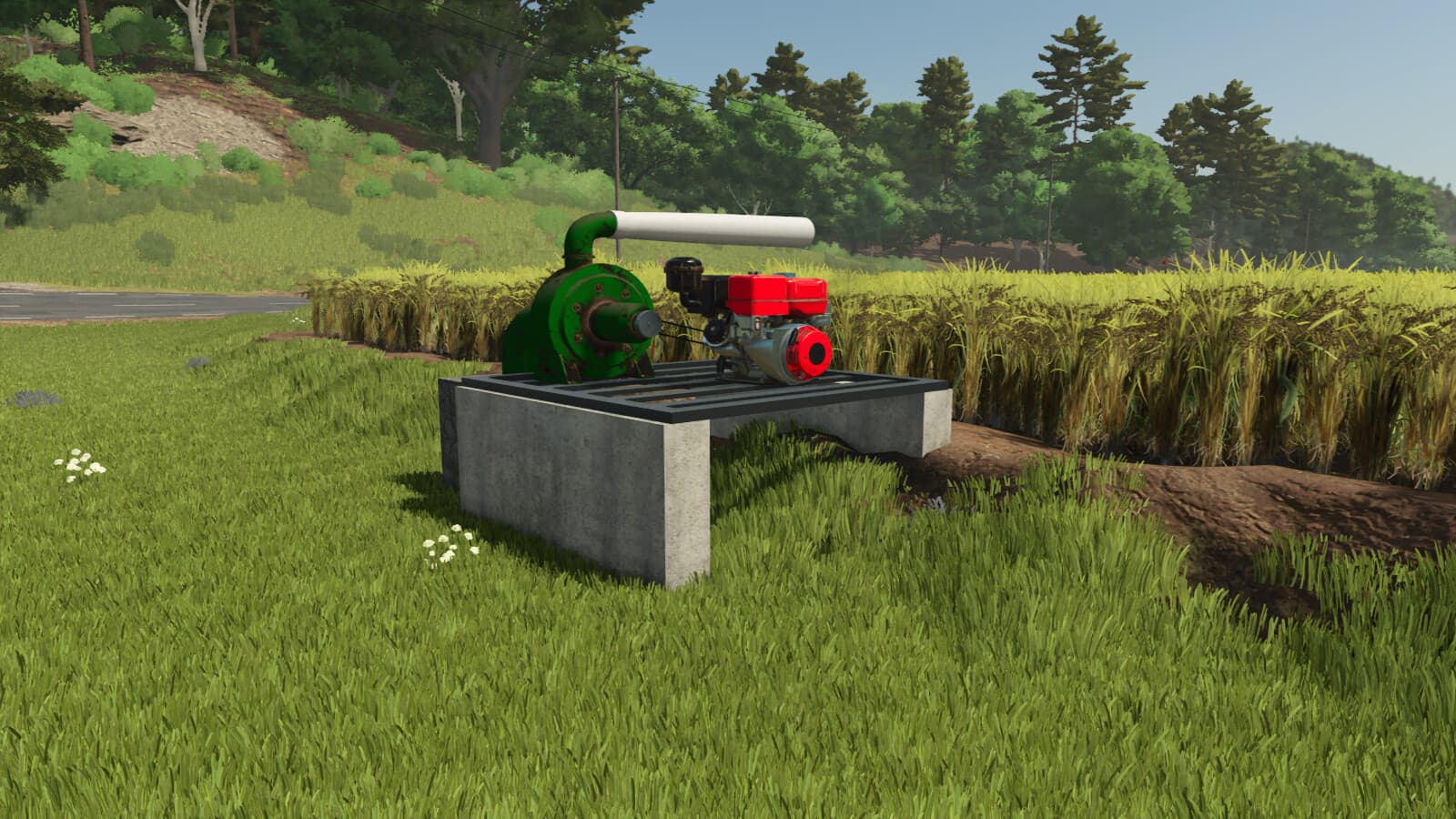 Custom Rice Fields BR 4