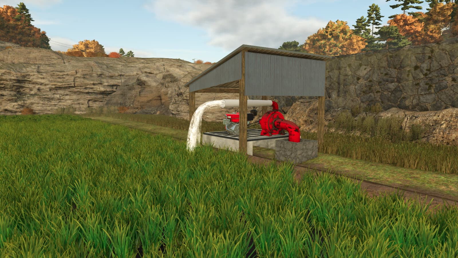 Custom Rice Fields BR 3
