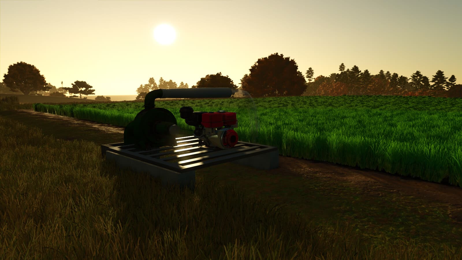 Custom Rice Fields BR 2