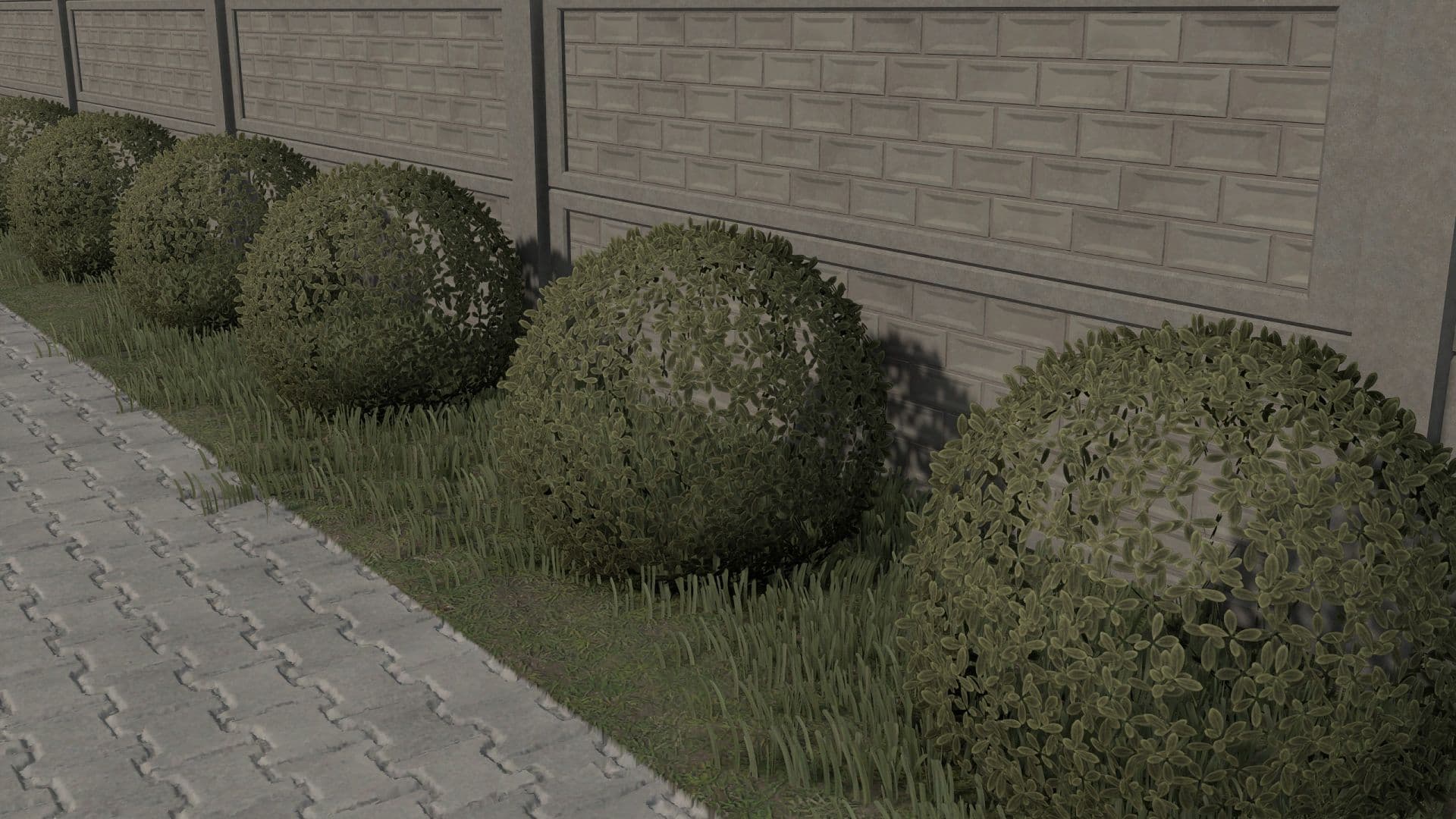 Decorative Shrub 3
