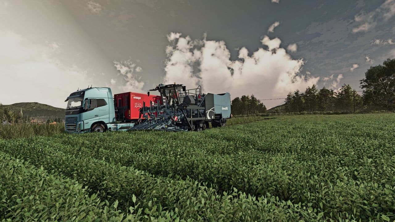 Dewulf ZKISVE 5
