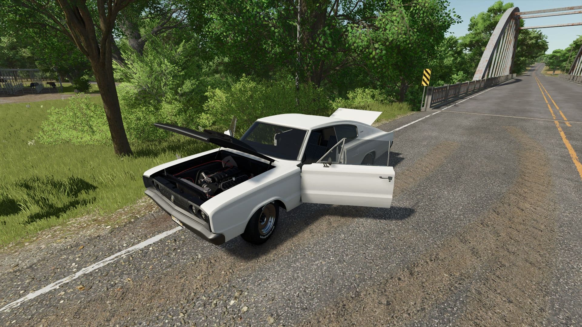 Dodge Charger RT 1966 5