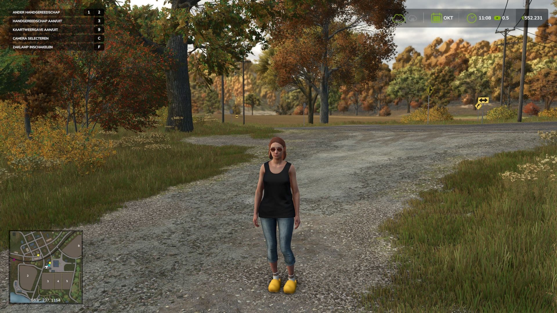 Dutch clogs