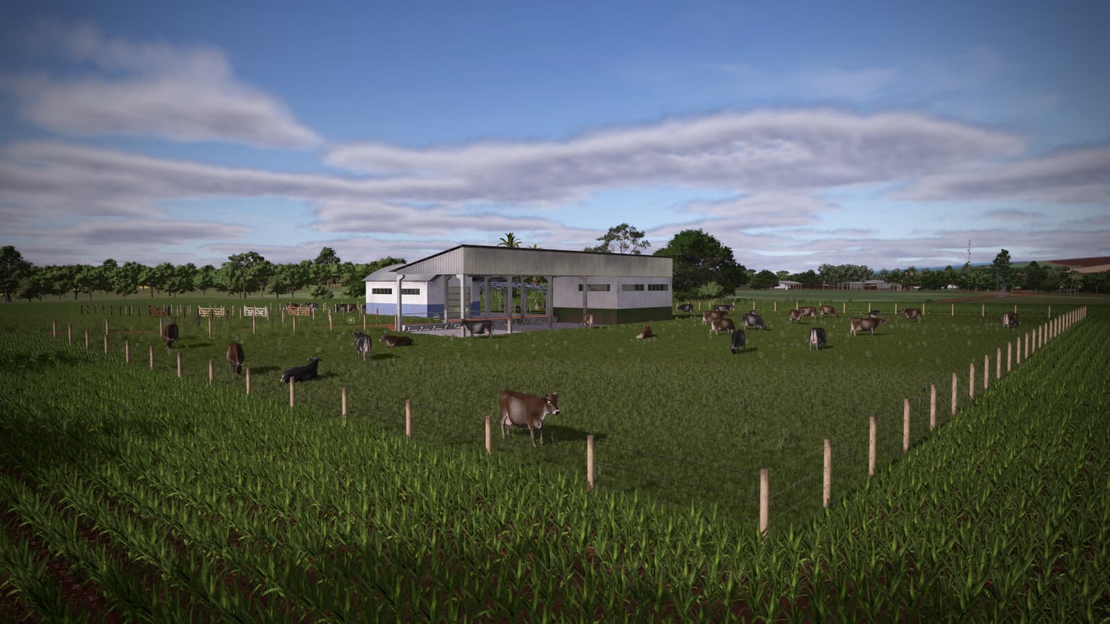 ESC Cow Barns 5
