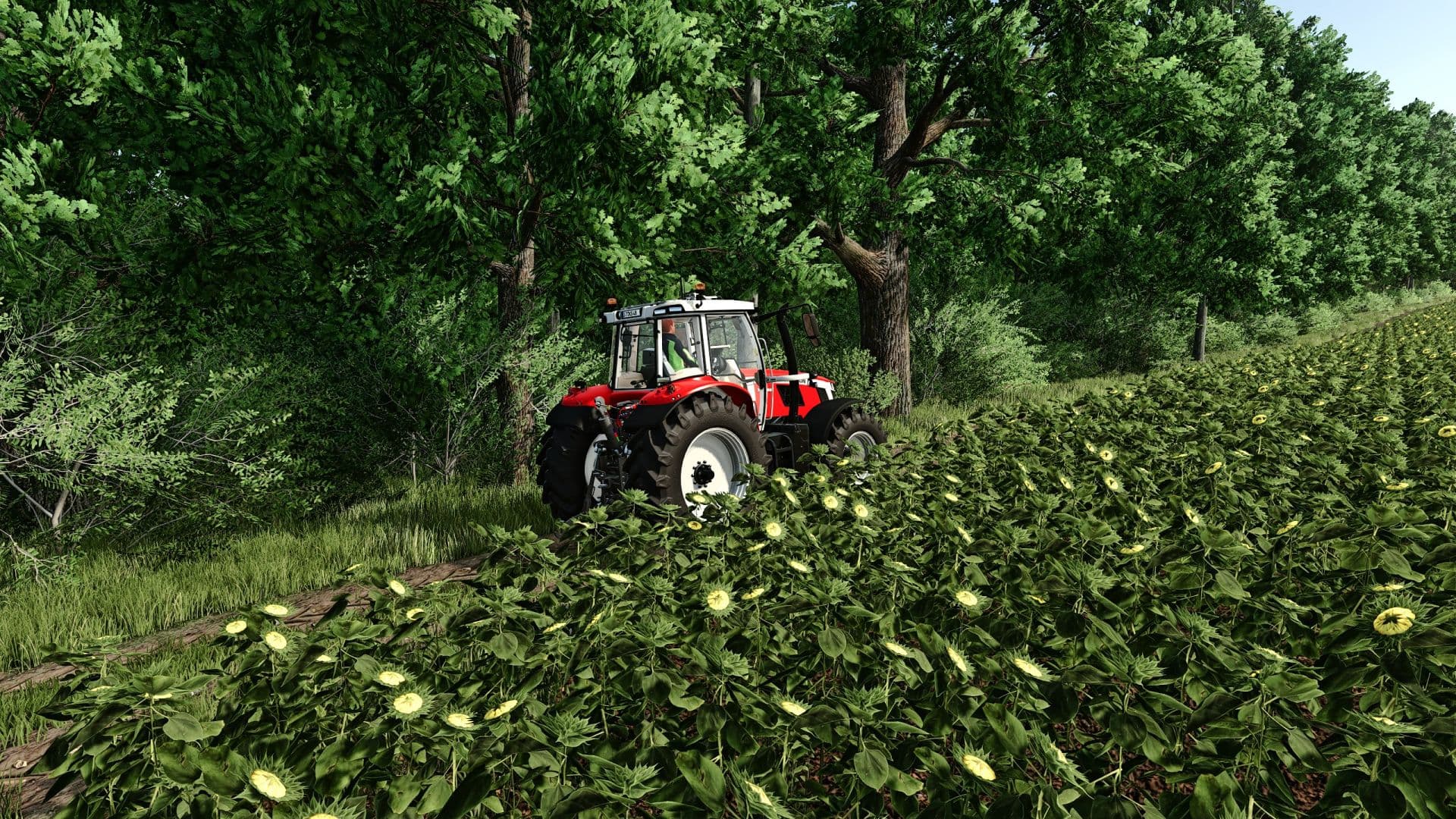 FS Realistic Shader 6