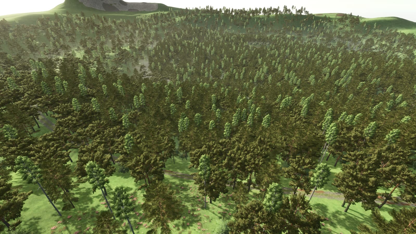 Forest Challenge 4