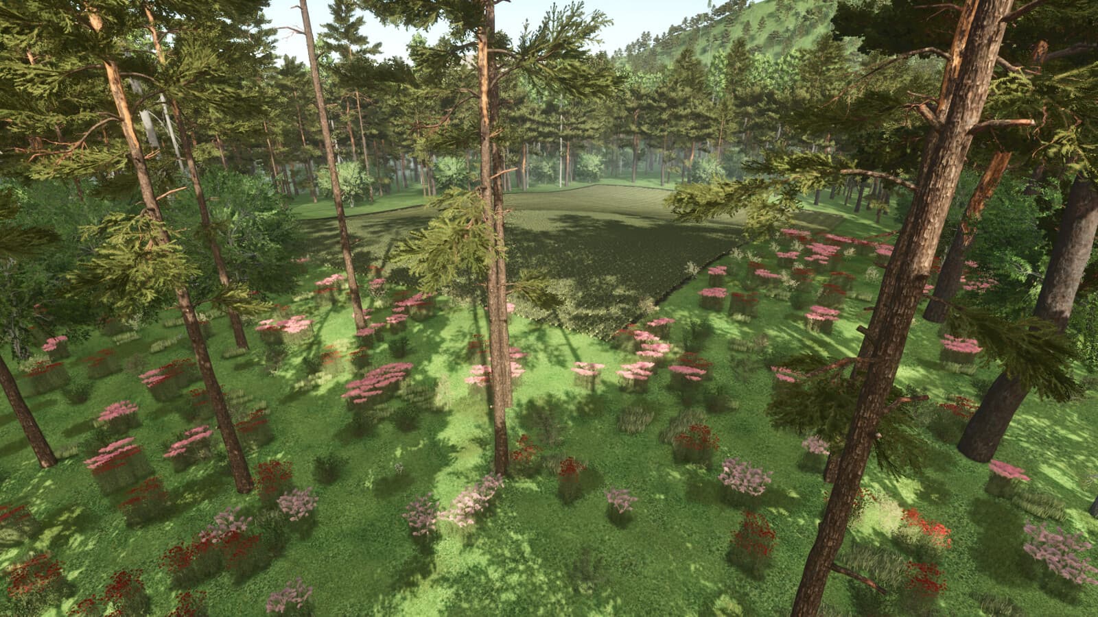 Forest Challenge 3