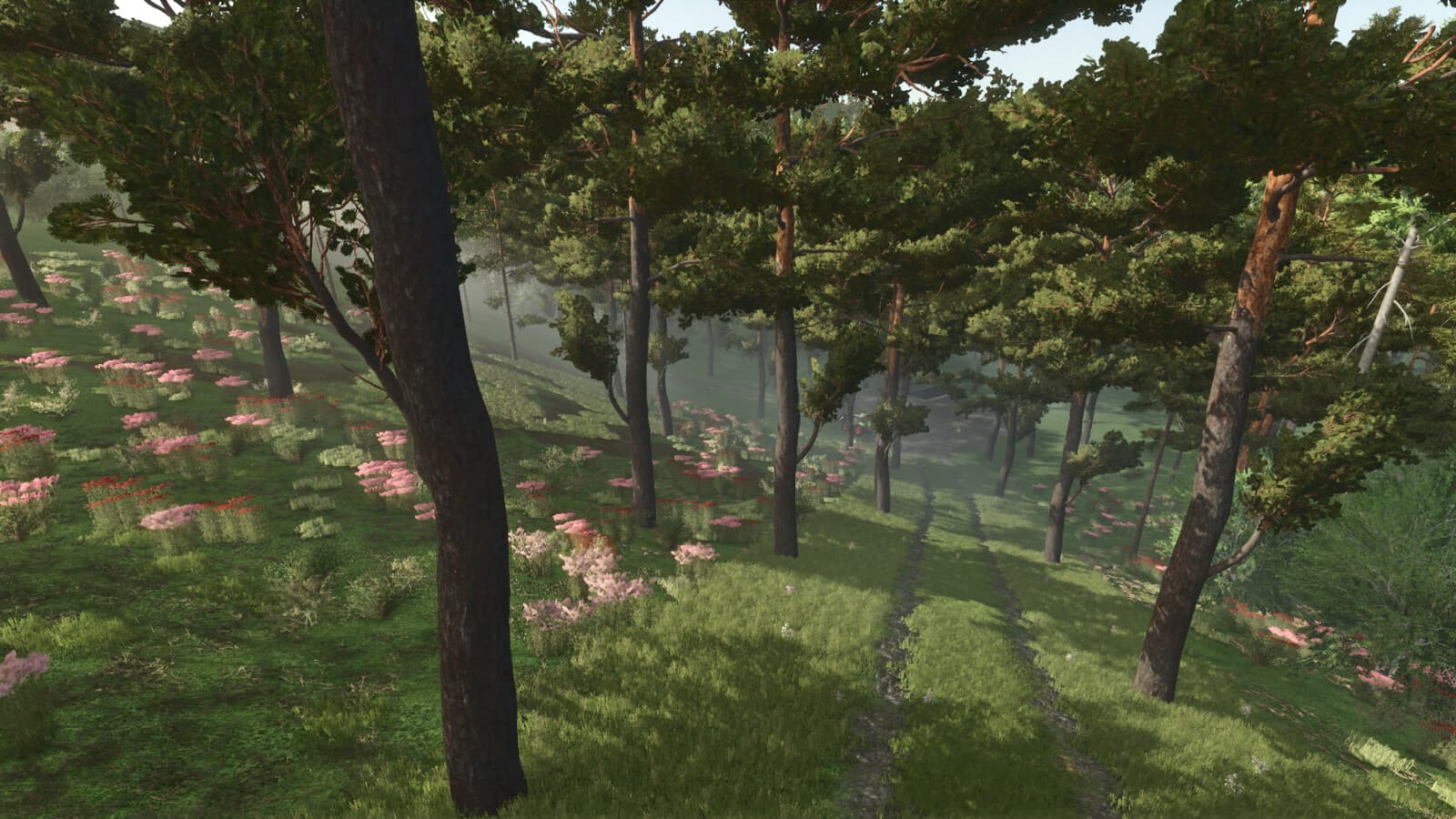 Forest Challenge 2